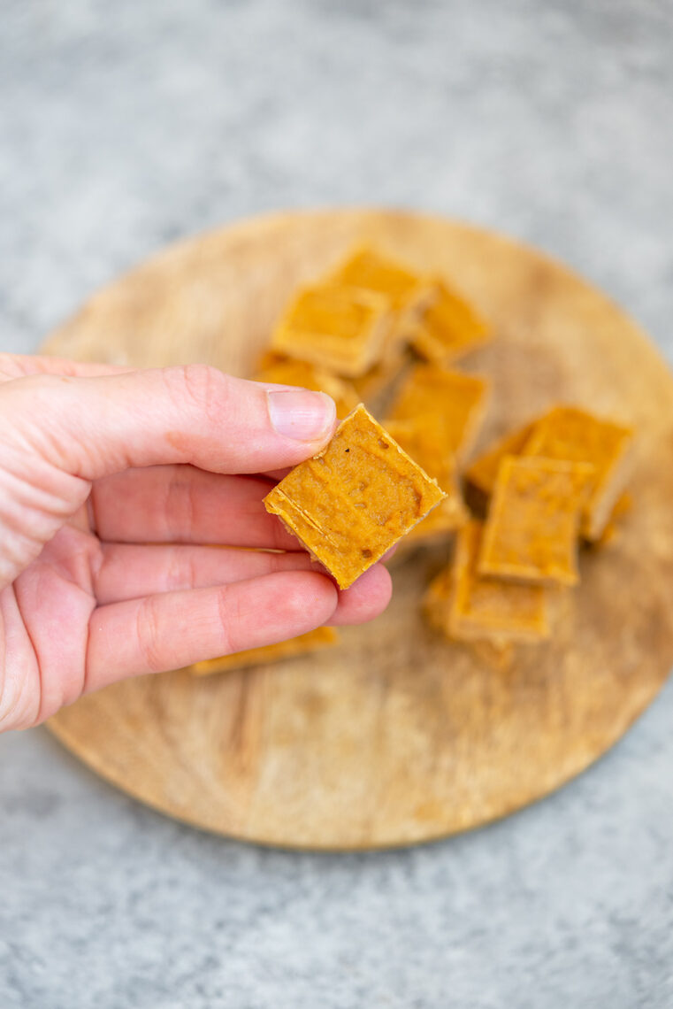 Vegan Pumpkin Fudge Recipe Plant Based Juniors