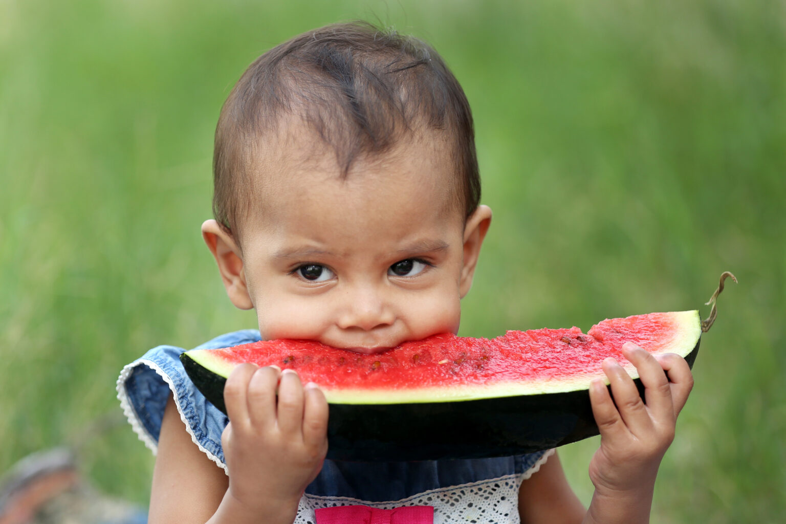 New Dietary Guidelines for Infants and Toddlers Plant Based Juniors