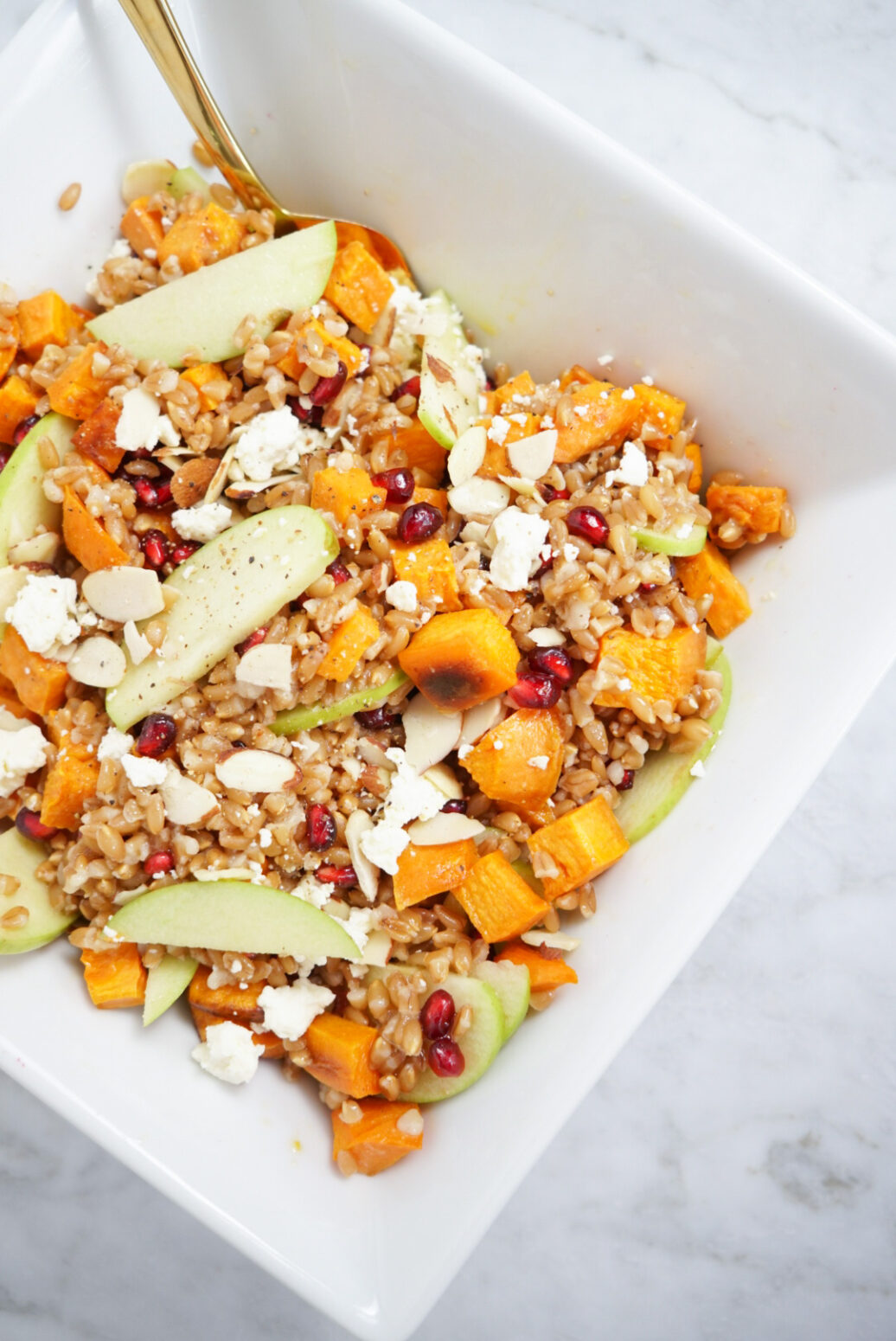 Fall Harvest Farro Salad Plant Based Juniors