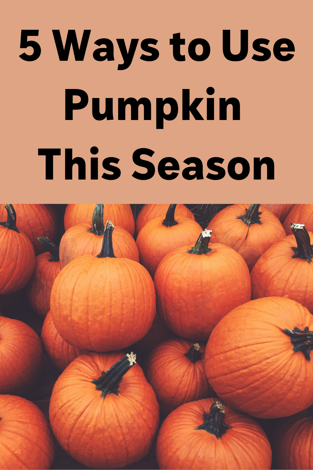5 Ways to Use Pumpkin This Season - Plant Based Juniors