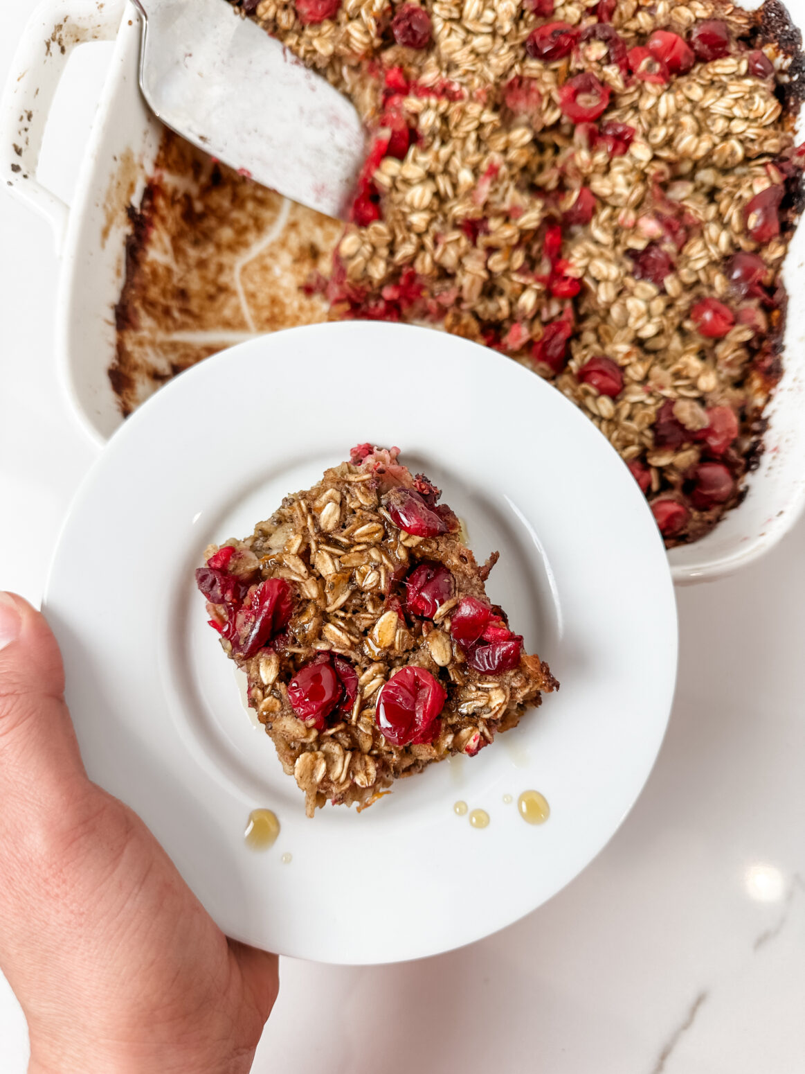 A hand holding a white plate with a square of the Cranberry Orange Oat Bake. Visible on the square are grains of oats and squished baked cranberries. The plate is being held over a casserole dish with the rest of the Cranberry Orange Oat Bake.
