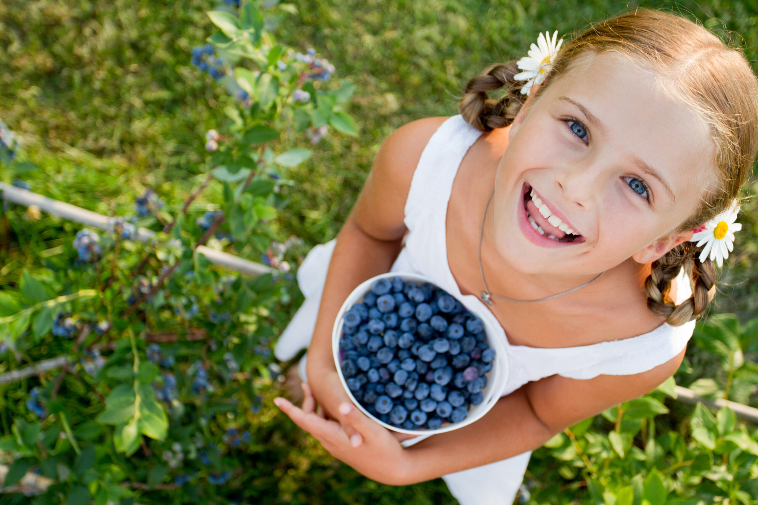 little girl holding white bowl of blueberries outside in the bushes