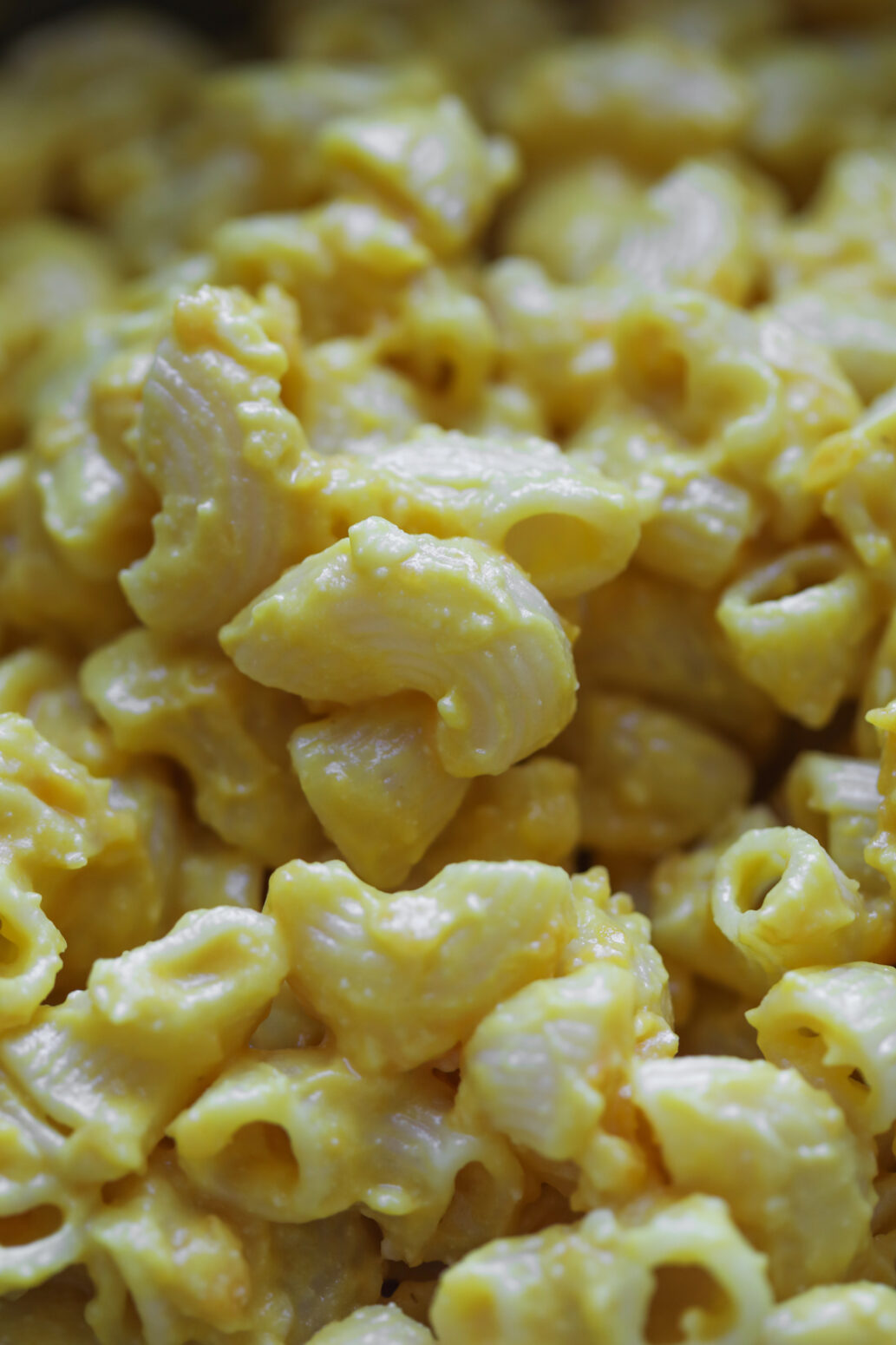 butternut squash pasta